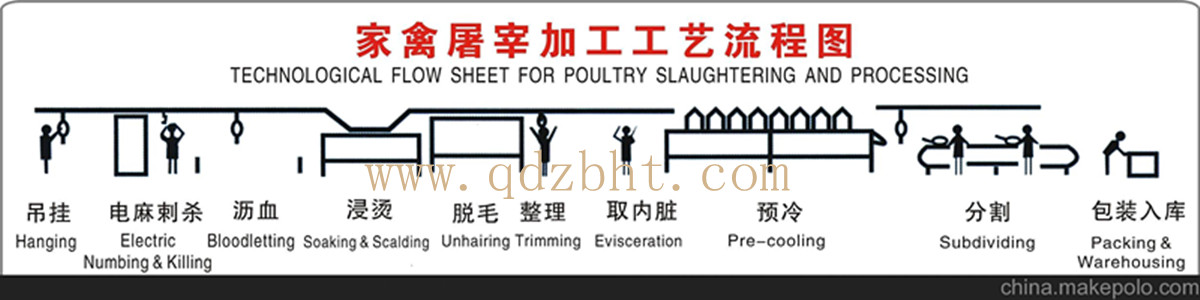 家禽屠宰流水線表示圖